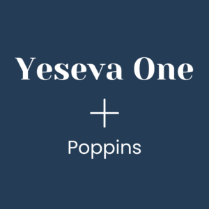 yseva-one-and-poppins-google-font-pairing
